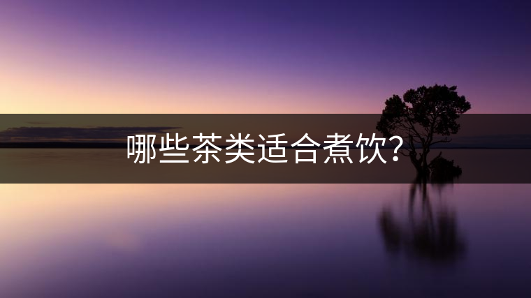 哪些茶類適合煮飲？