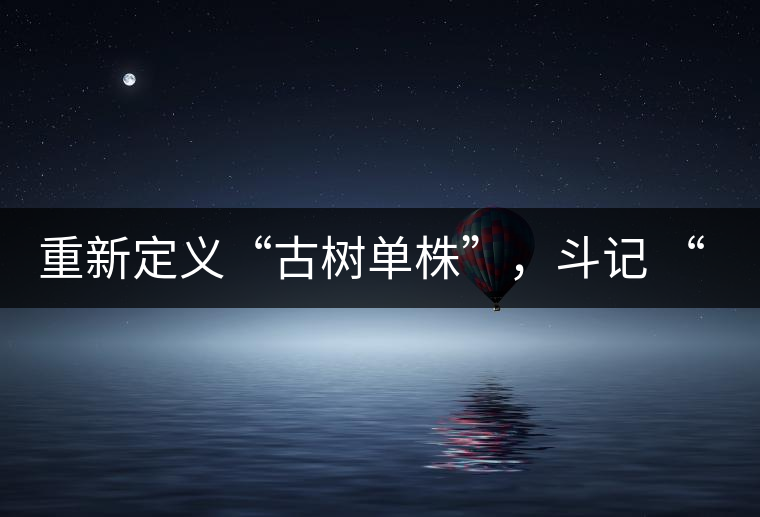 重新定義“古樹單株”，斗記 “超級(jí)審評(píng)”有償招募告罄在即！