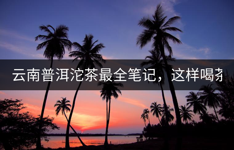 云南普洱沱茶最全筆記，這樣喝茶才更健康！