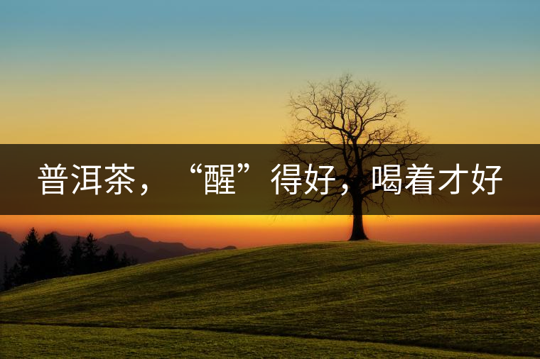 普洱茶，“醒”得好，喝著才好