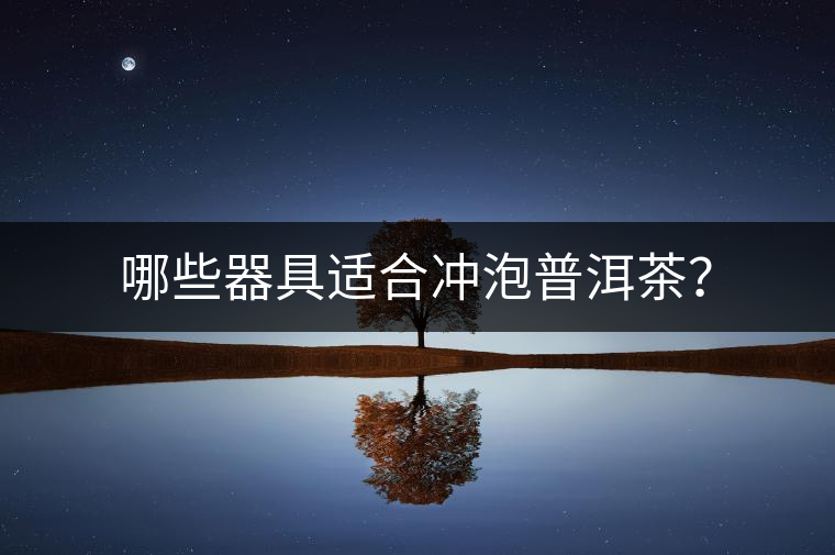 哪些器具適合沖泡普洱茶？