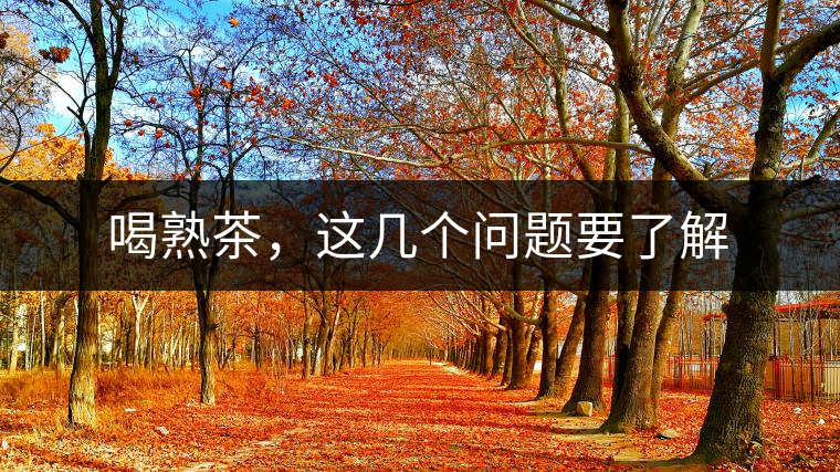 喝熟茶，這幾個(gè)問(wèn)題要了解