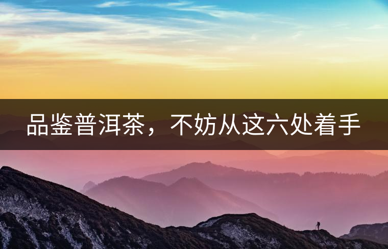 品鑒普洱茶，不妨從這六處著手