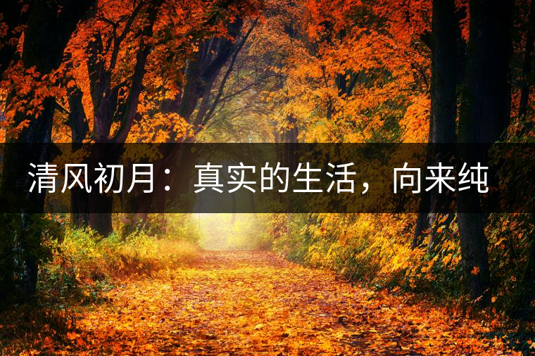 清風(fēng)初月：真實(shí)的生活，向來(lái)純簡(jiǎn)