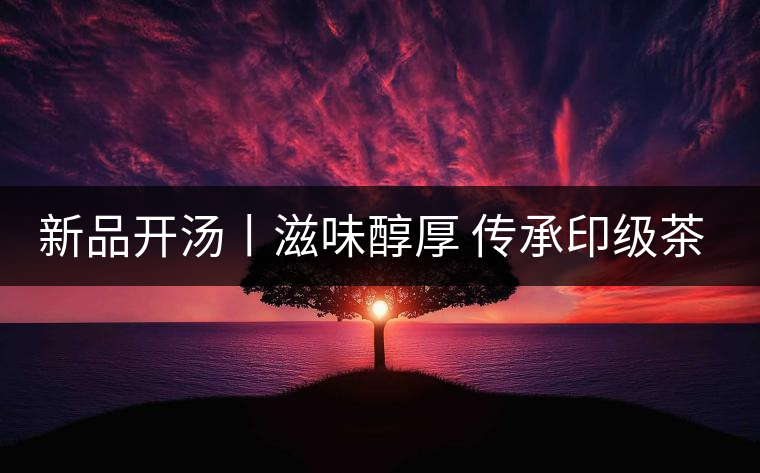 新品開湯丨滋味醇厚 傳承印級茶風韻 新品開湯丨滋味醇厚 傳承印級茶風韻
