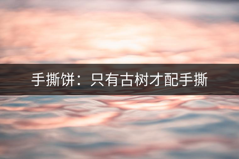 手撕餅:只有古樹(shù)才配手撕 手撕餅:只有古樹(shù)才配手撕