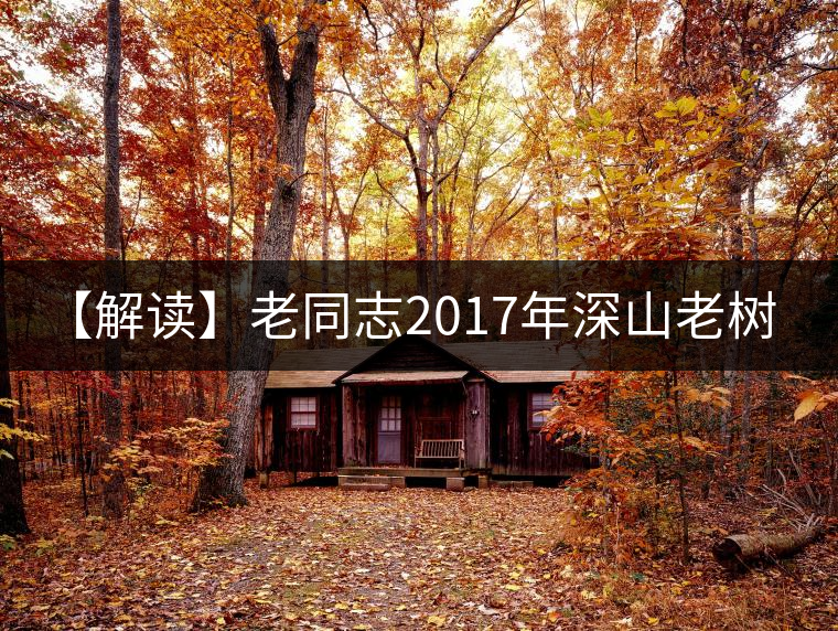 【解讀】老同志2017年深山老樹（熟）