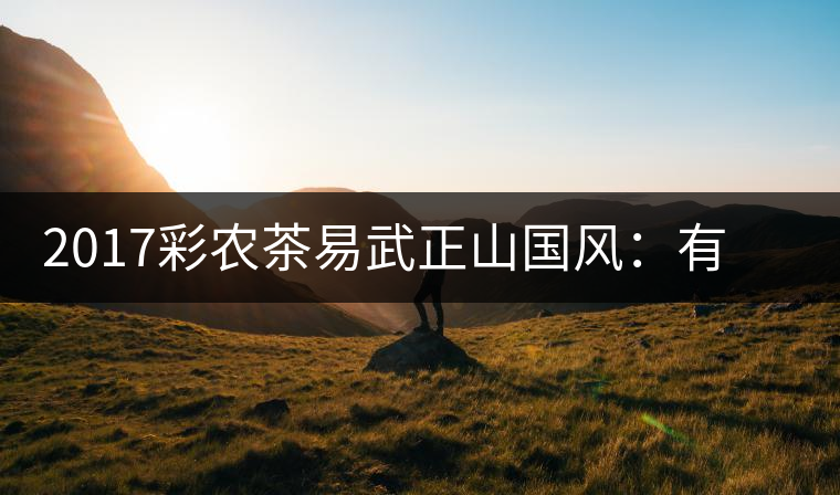 2017彩農(nóng)茶易武正山國風(fēng)：有茶韻，亦有國風(fēng)