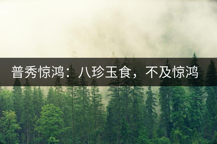 普秀驚鴻：八珍玉食，不及驚鴻一湯