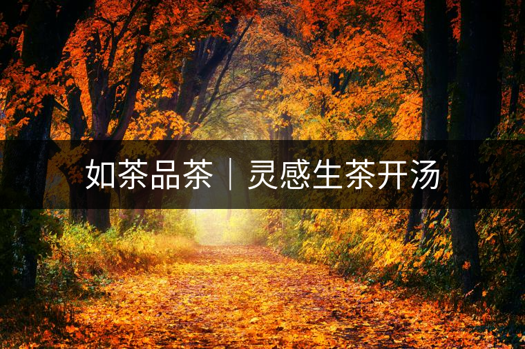 如茶品茶|靈感生茶開湯 如茶品茶|靈感生茶開湯