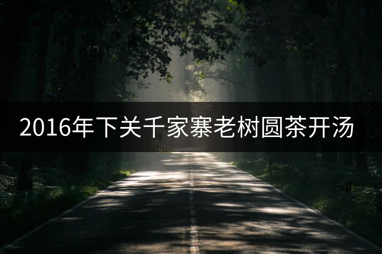 2016年下關千家寨老樹圓茶開湯品鑒