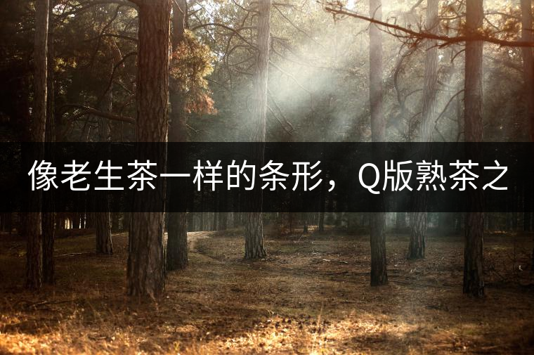 像老生茶一樣的條形，Q版熟茶之【融璞】