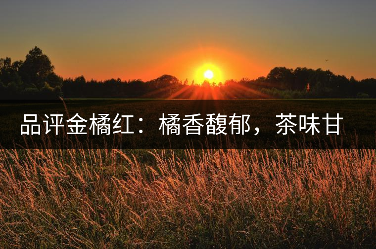 品評(píng)金橘紅：橘香馥郁，茶味甘醇，匠心拼配，臻于至善