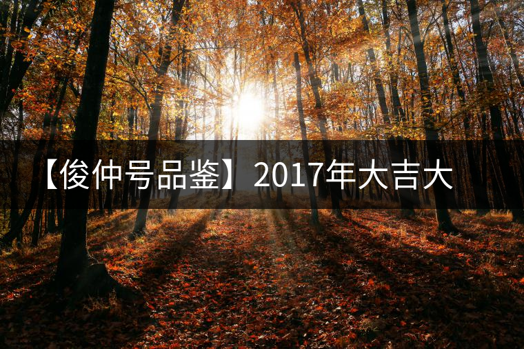 【俊仲號(hào)品鑒】2017年大吉大利生餅