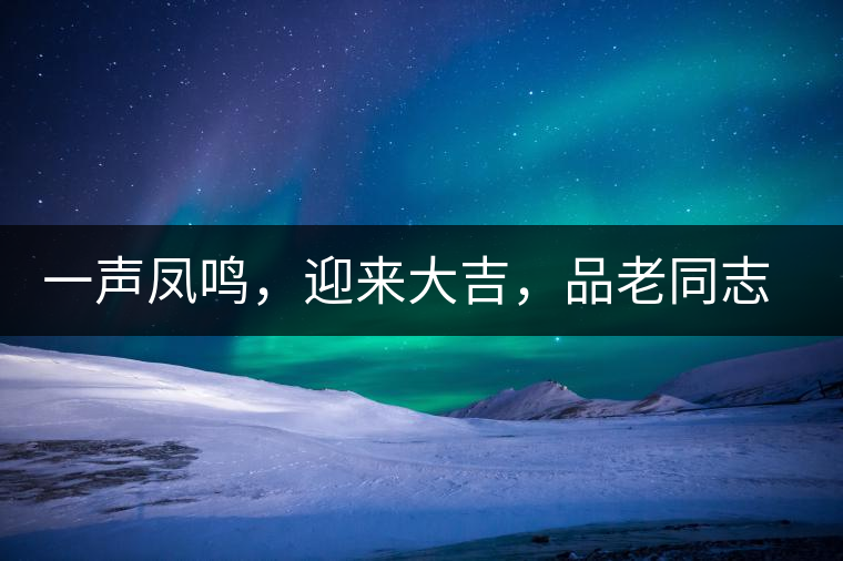 一聲鳳鳴，迎來大吉，品老同志鳳鳴吉至