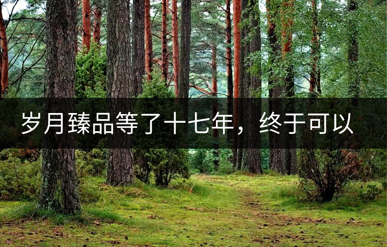 歲月臻品等了十七年，終于可以品味歲月