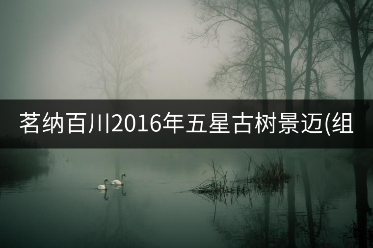 茗納百川2016年五星古樹景邁(組圖)