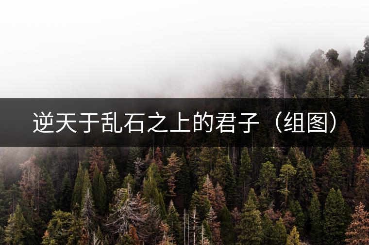 逆天于亂石之上的君子（組圖）