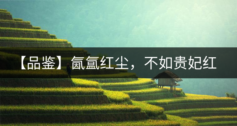 【品鑒】氤氳紅塵，不如貴妃紅一盞