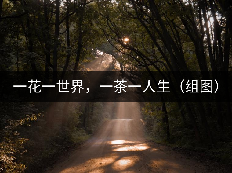 一花一世界，一茶一人生（組圖）