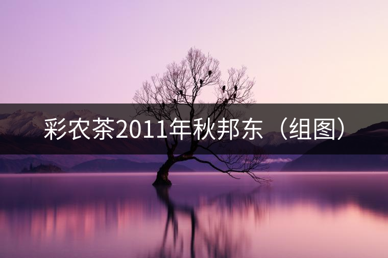 彩農(nóng)茶2011年秋邦東（組圖）