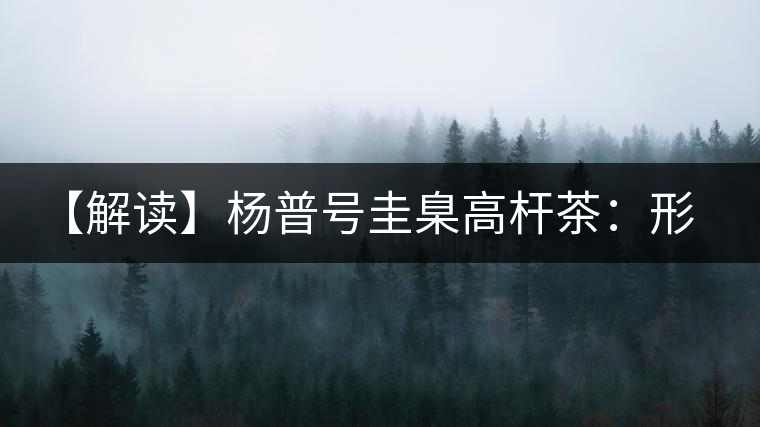 【解讀】楊普號(hào)圭臬高桿茶：形高、氣足、韻遠(yuǎn)的一款茶