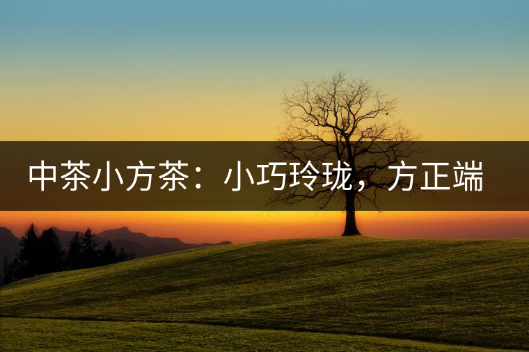 中茶小方茶：小巧玲瓏，方正端莊