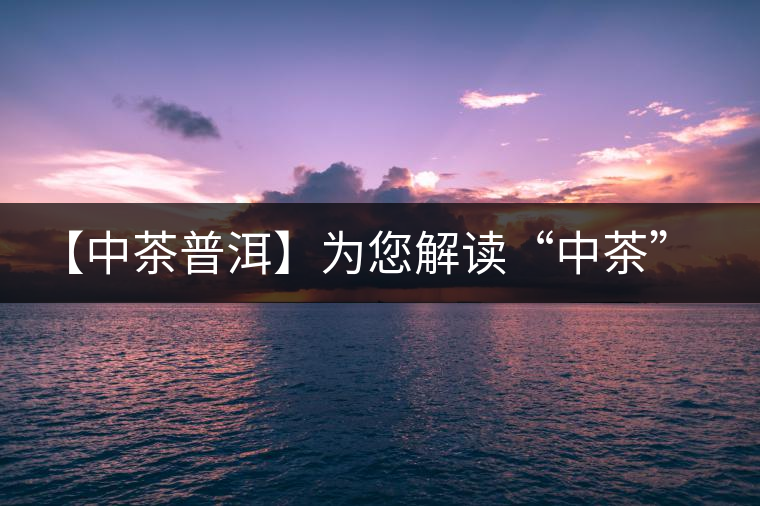 【中茶普洱】為您解讀“中茶”牌圓茶—方圓品評