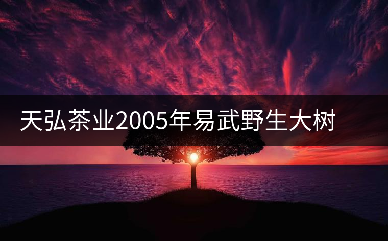 天弘茶業(yè)2005年易武野生大樹生茶開湯品鑒