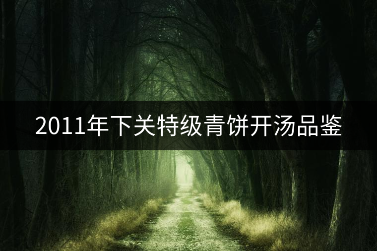 2011年下關(guān)特級(jí)青餅開湯品鑒