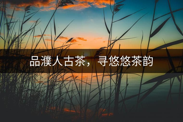 品濮人古茶，尋悠悠茶韻
