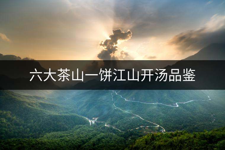 六大茶山一餅江山開湯品鑒 六大茶山一餅江山開湯品鑒