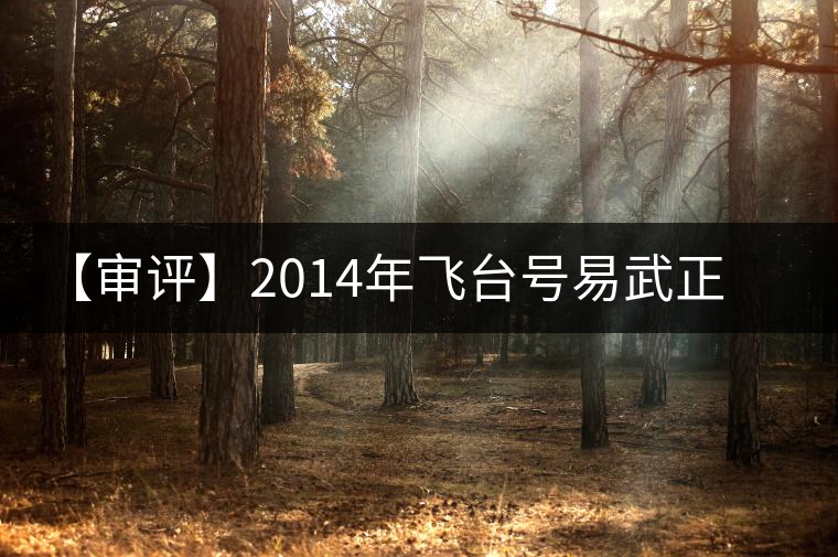 【審評】2014年飛臺號易武正山 【審評】2014年飛臺號易武正山