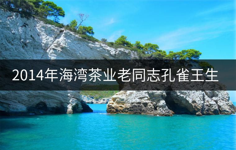 2014年海灣茶業(yè)老同志孔雀王生磚品飲