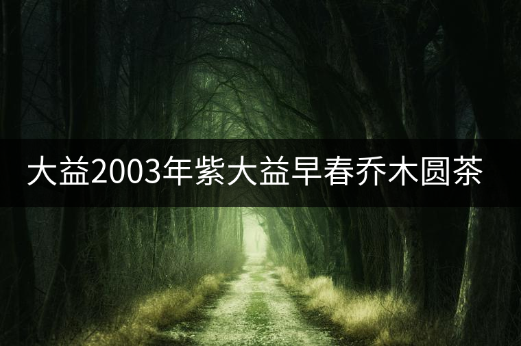 大益2003年紫大益早春?jiǎn)棠緢A茶普餅(400g)開湯 大益2003年紫大益早春?jiǎn)棠緢A茶普餅(400g)開湯