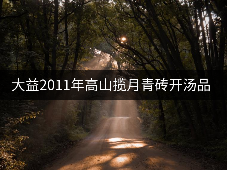 大益2011年高山攬?jiān)虑啻u開(kāi)湯品鑒