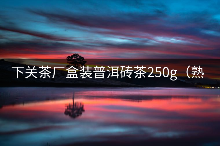 下關(guān)茶廠盒裝普洱磚茶250g(熟茶) 下關(guān)茶廠盒裝普洱磚茶250g(熟茶)