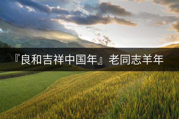 『良和吉祥中國年』老同志羊年生肖餅——大吉祥開湯 『良和吉祥中國年』老同志羊年生肖餅——大吉祥開湯