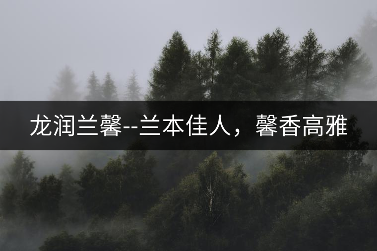 龍潤蘭馨--蘭本佳人，馨香高雅