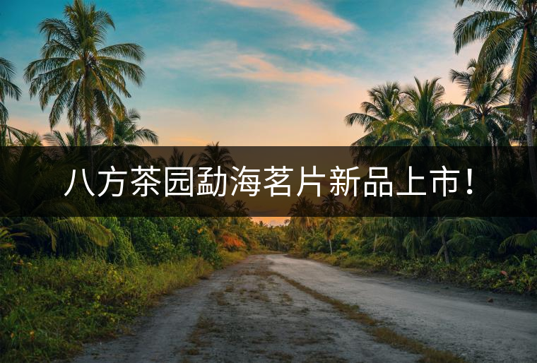 八方茶園勐海茗片新品上市！