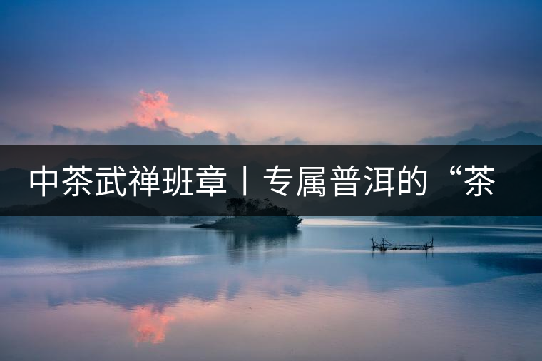 中茶武禪班章丨專屬普洱的“茶禪一味” 中茶武禪班章丨專屬普洱的“茶禪一味”