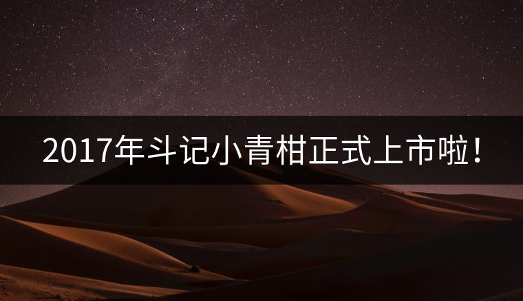 2017年斗記小青柑正式上市啦！