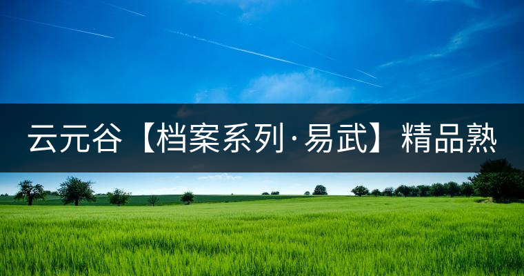 云元谷【檔案系列·易武】精品熟茶，精裝上市！