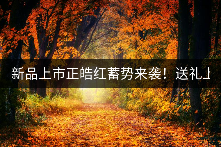 新品上市正皓紅蓄勢來襲！送禮上上之選！