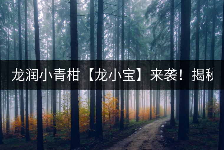 龍潤(rùn)小青柑【龍小寶】來(lái)襲！揭秘它的前半生！