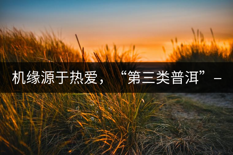 機緣源于熱愛，“第三類普洱”——“散壓茶TM”的誕生。