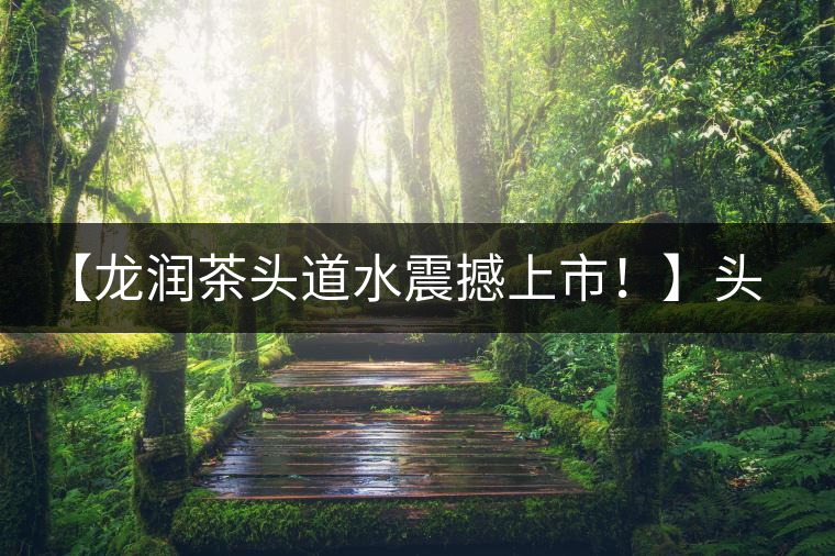 【龍潤茶頭道水震撼上市！】頭道水，二道茶，三道四道是精華！