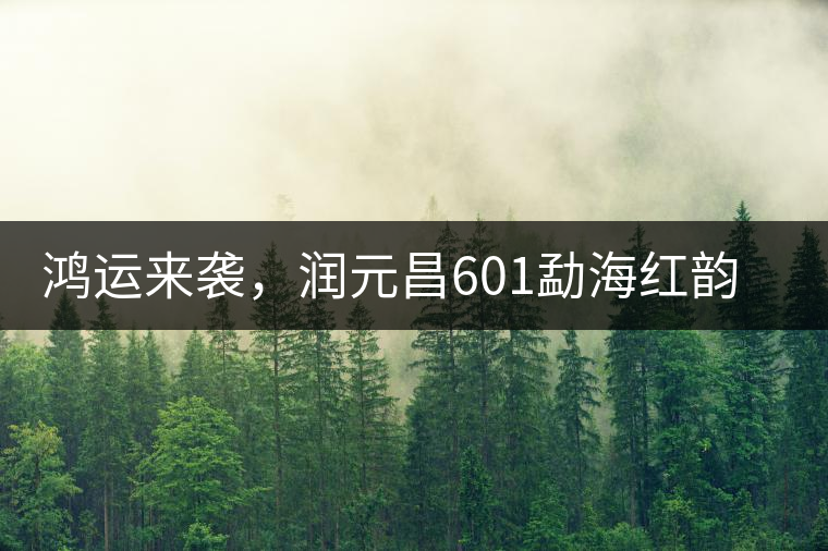鴻運來襲，潤元昌601勐海紅韻熟茶即將上市