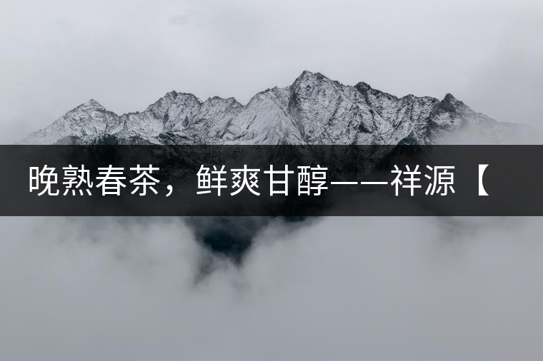 晚熟春茶，鮮爽甘醇——祥源【政和大白】清鮮上市