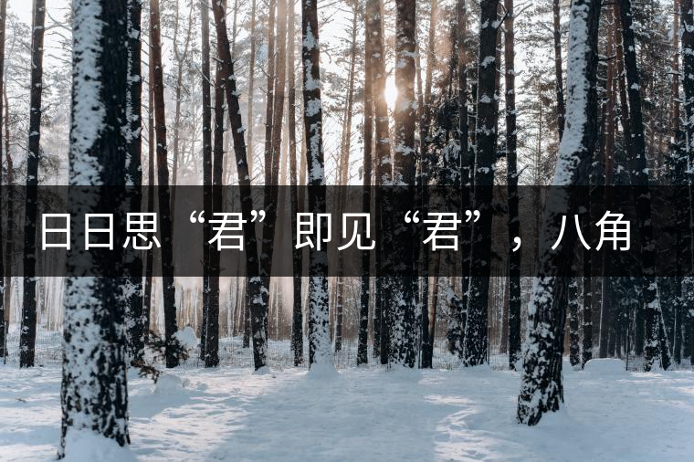 日日思“君”即見“君”，八角亭竹筒茶君子即將上市